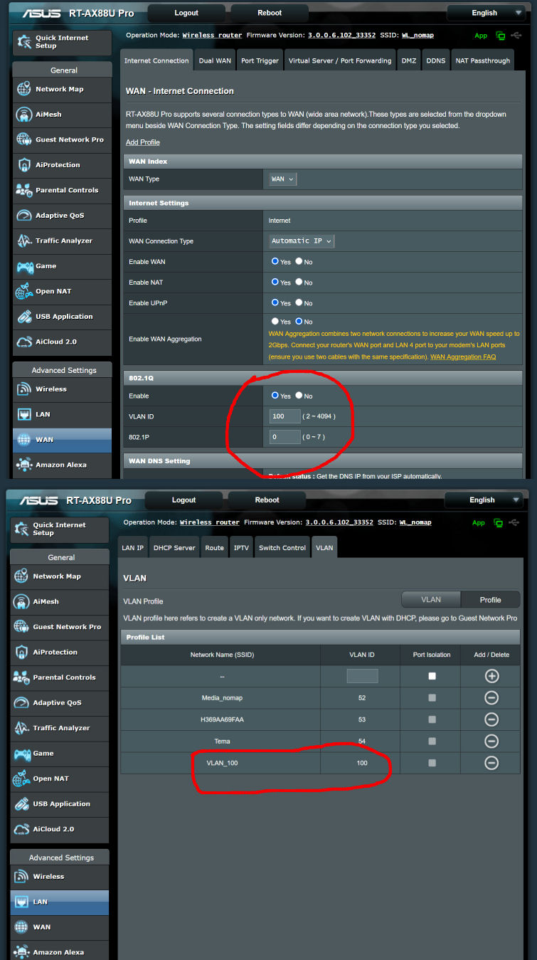 Vlan 100